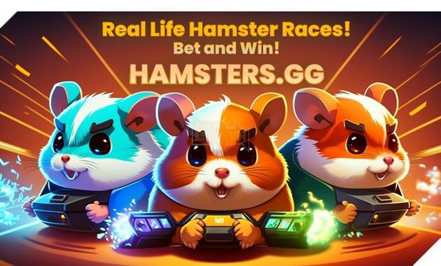 cá cược chuột hamster