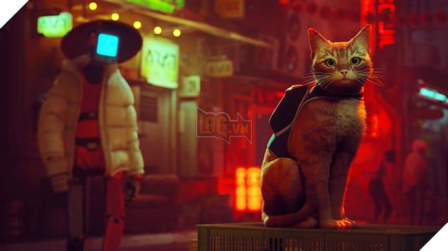 Stray, tựa game về chú mèo dễ thương, dự kiến sẽ có bản phim hoạt hình trong tương lai