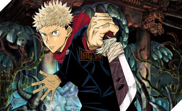 Tác giả Jujutsu Kaisen