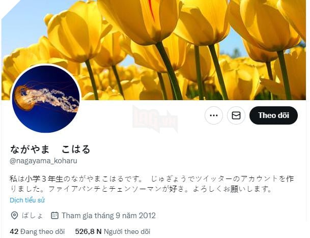 tài khoản Twitter của tác giả Fujimoto Tatsuki