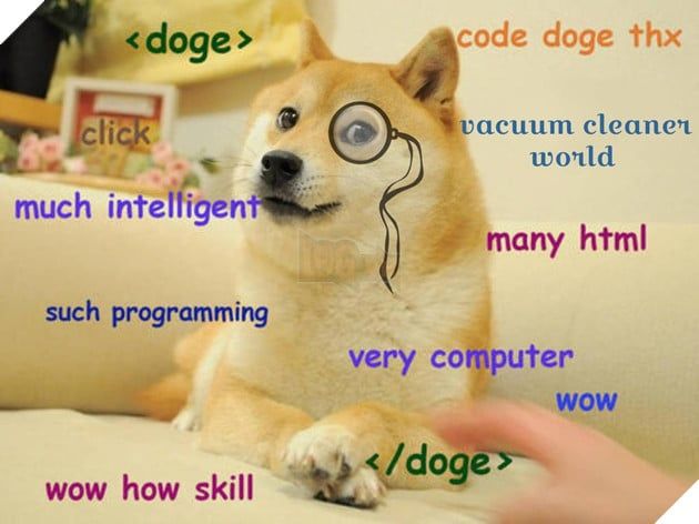 Doge - Hình tượng meme nổi tiếng thế giới đang gặp khó khăn và đứng trước nguy cơ nguy kịch