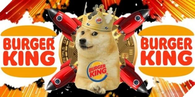 Chuyện cũng về cuộc đời đầy biến cố của chú chó trở thành biểu tượng chế meme hàng đầu trên toàn thế giới