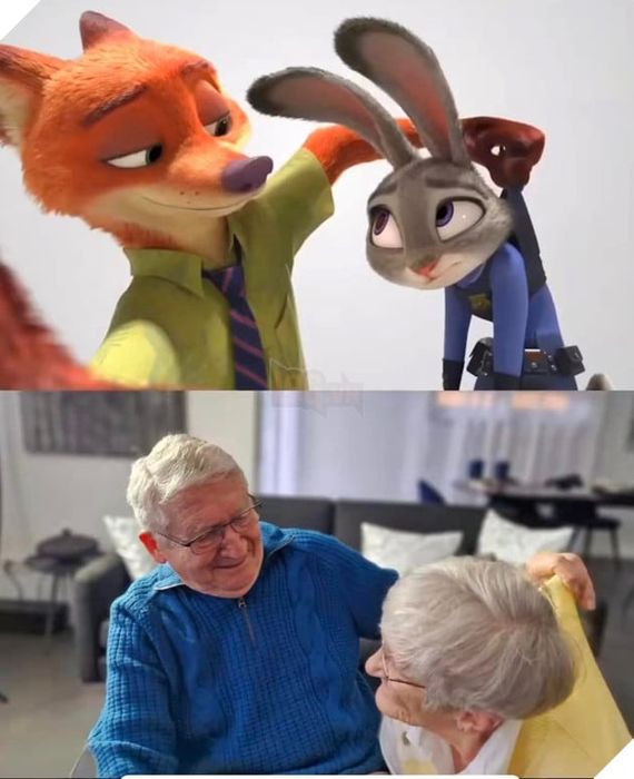 Chụp ảnh kỷ niệm 61 năm ngày cưới theo phong cách Zootopia