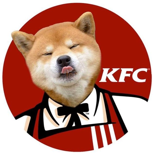 Chuyện cũng về cuộc đời đầy biến cố của chú chó trở thành biểu tượng chế meme hàng đầu trên toàn thế giới