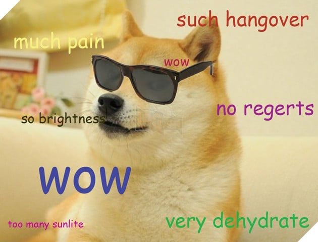 Doge - Biểu tượng meme phổ biến trên toàn cầu đang đối diện với tình trạng khó khăn