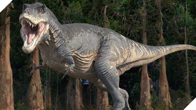 Bộ xương của T-Rex đã tồn tại hơn 67 triệu năm sẽ sớm được đưa ra đấu giá vào tháng sau