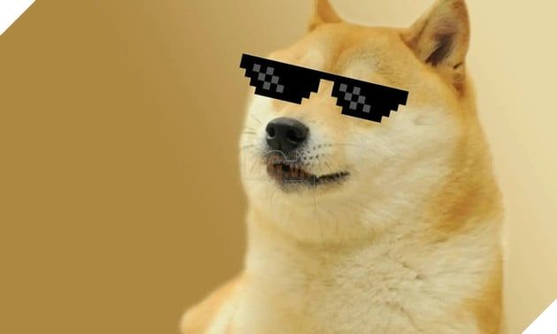 Doge - Hình tượng meme nổi tiếng toàn cầu đang đối diện với tình trạng nguy kịch