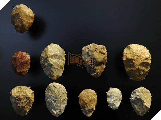 Khám phá DNA 50.000 năm tuổi tiết lộ cái nhìn đầu tiên về một gia đình Neanderthal