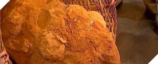 Phát hiện trứng khủng long 70 triệu tuổi tại Trung Quốc