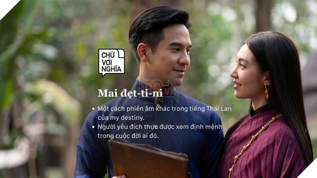 mai đẹt ti ni, mai đẹt ti ni là gì, giải nghĩa mai đẹt ti ni, giải thích mai đẹt ti ni