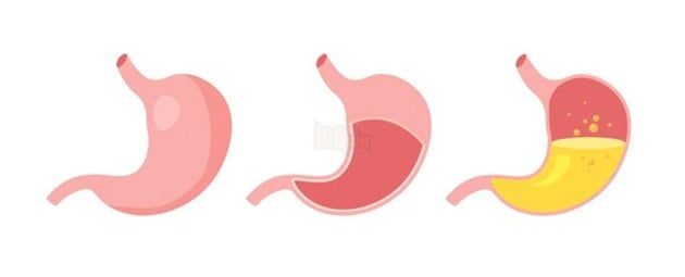 sự thú vị về cơ thể con người