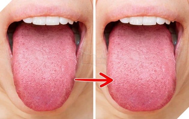 sự thú vị về cơ thể con người