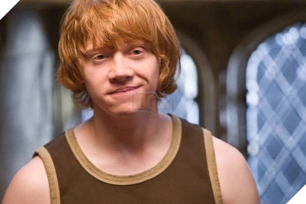 Sau trận chiến với Chúa Tể Hắc Ám Voldemort, cuộc sống của các nhân vật trong Harry Potter sẽ ra sao?