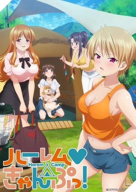 anime Harem Camp