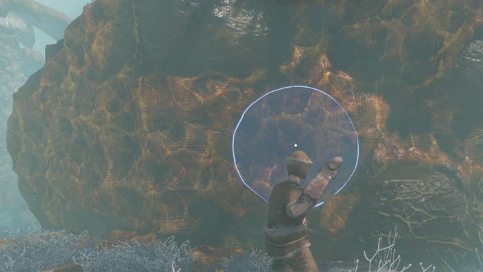 Cách tìm thấy ngọc hổ phách trong Enshrouded