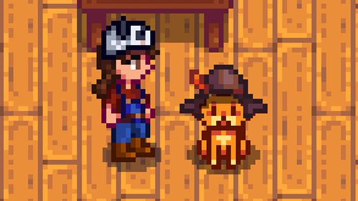 Mod mũ mèo trong Stardew Valley