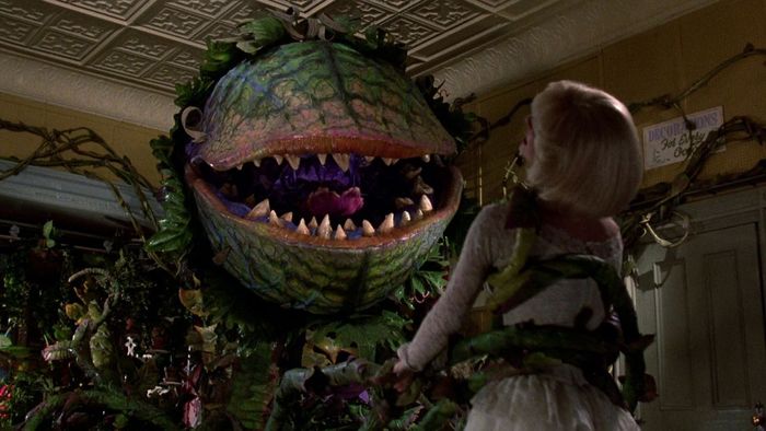 Cửa hàng kỳ lạ của Nỗi Sợ 1986, Warner Bros.