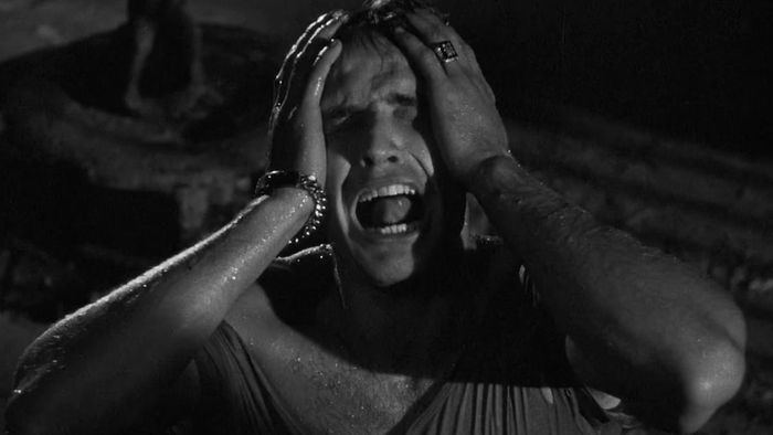 Marlon Brando la hét cho 'Stella' trong A Streetcar Named Desire