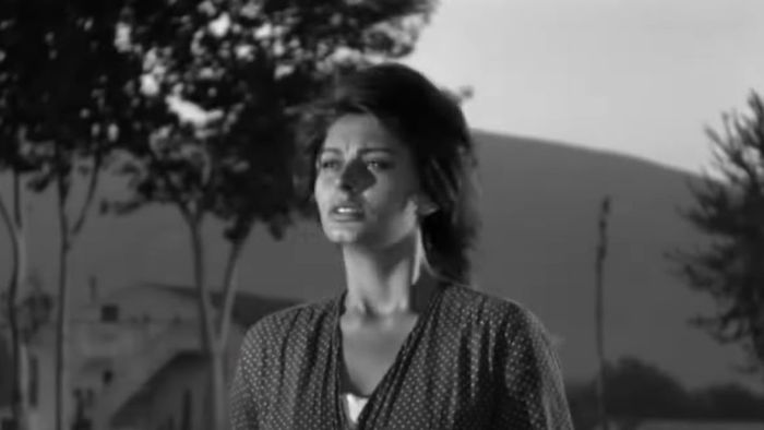 Sophia Loren khóc trong một cánh đồng trong bộ phim Two Women