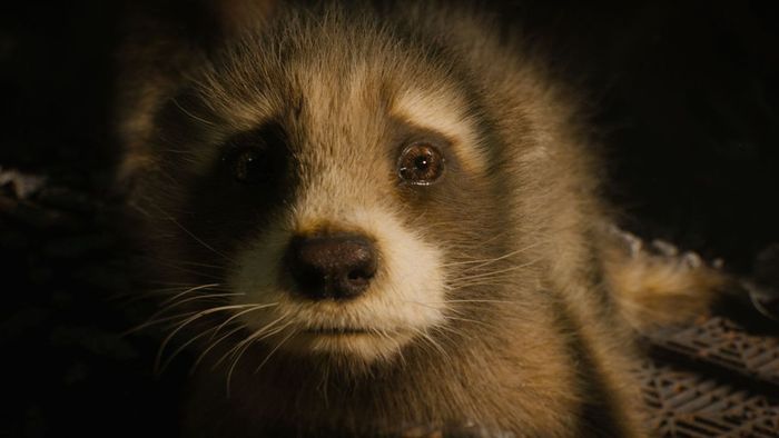 Rocket trong Guardians of the Galaxy 3