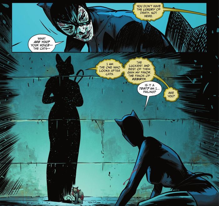 Nghệ thuật từ Catwoman #61