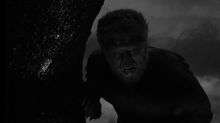 Người Sói săn mồi trong rừng vào ban đêm trong The Wolf Man