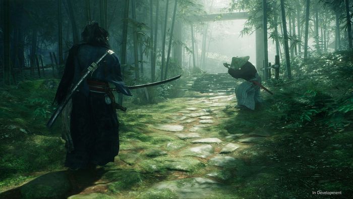 Thức Tỉnh của Ronin