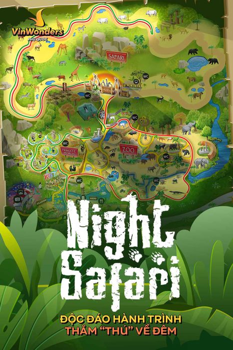 Safari Đêm