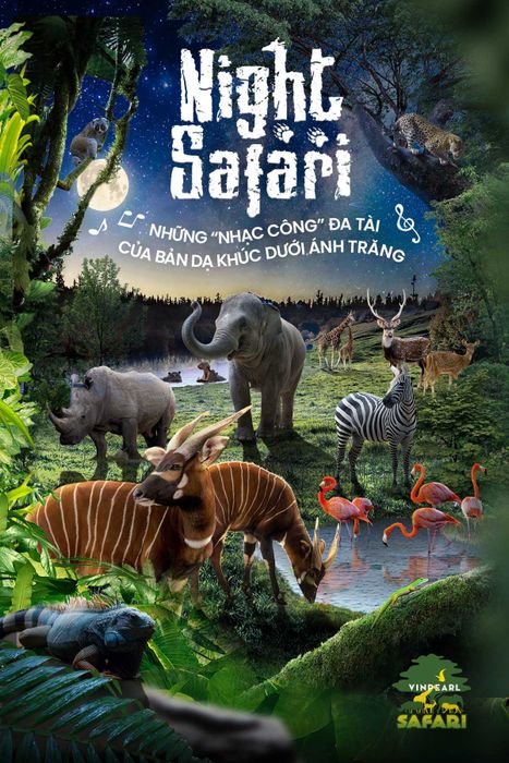 Safari Đêm