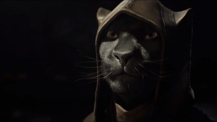 Một Khajiit đứng trong bóng tối.