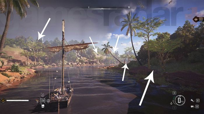 Các vị trí gỗ Acacia trong Skull and Bones