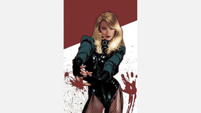 Hình ảnh của Black Canary