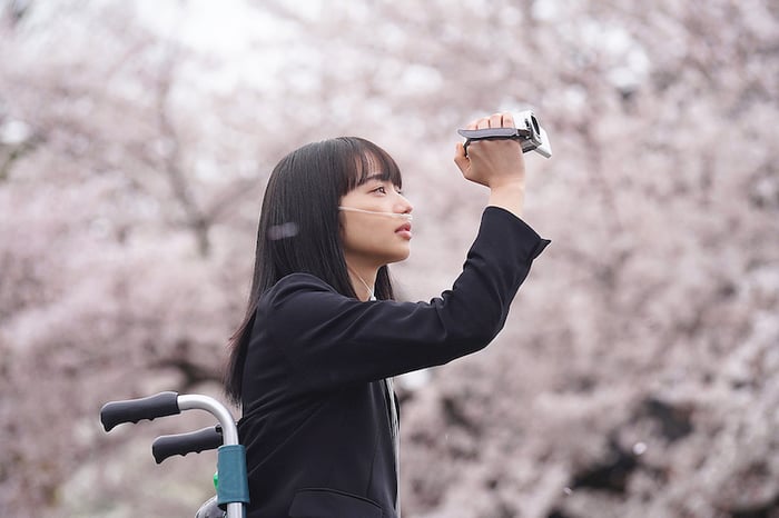 Sự kết hợp giữa Nana Komatsu và Kentaro Sakaguchi hứa hẹn sẽ mang đến làn gió mới tươi trẻ cho Ước Nguyện 10 Năm