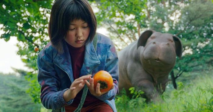 Mija và Okja | Ảnh: Netflix