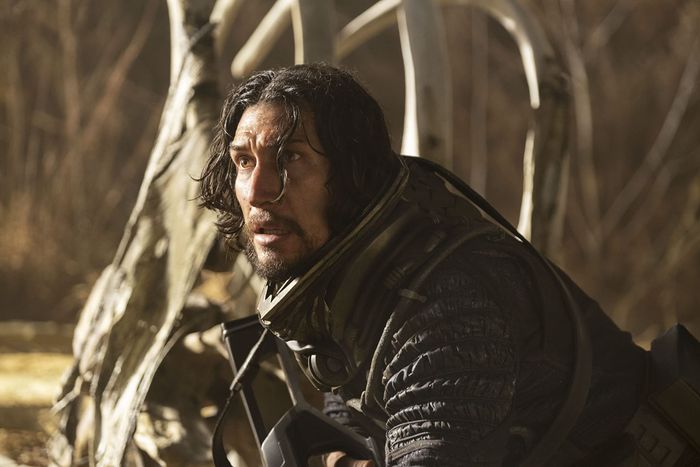 Vai diễn của Mills không thể làm khó Adam Driver