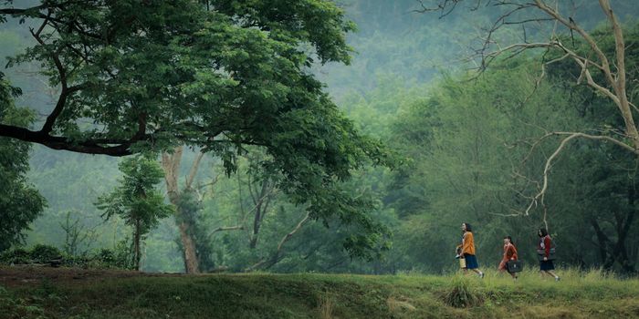 Bối cảnh của Tee Yod: Quỷ Ăn Tạng ban ngày mang lại cảm giác thơ mộng, nhưng khi đêm đến... sợ