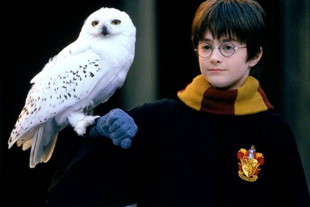 Harry Potter và Chiếc Hòn Đá Phép Thuật. (Via TheWrap)