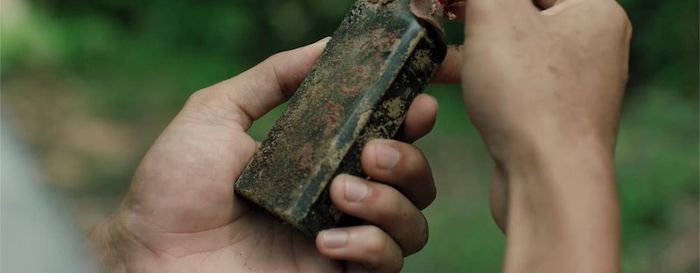 Chúng di chuyển với tốc độ cực kỳ nhanh và cảm giác khát máu không nguôi ngoai.