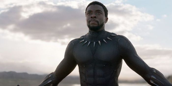 Black Panther 2 dường như đã có những sự thay đổi đáng kể