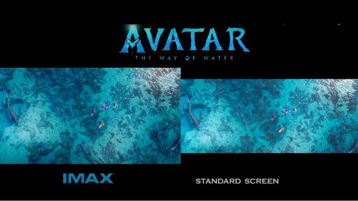 IMAX là công nghệ chiếu phim hàng đầu hiện nay