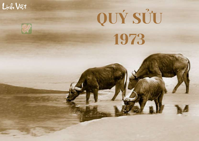 Tử Vi Tuổi Quý Sửu (1973) Trong Năm 2024