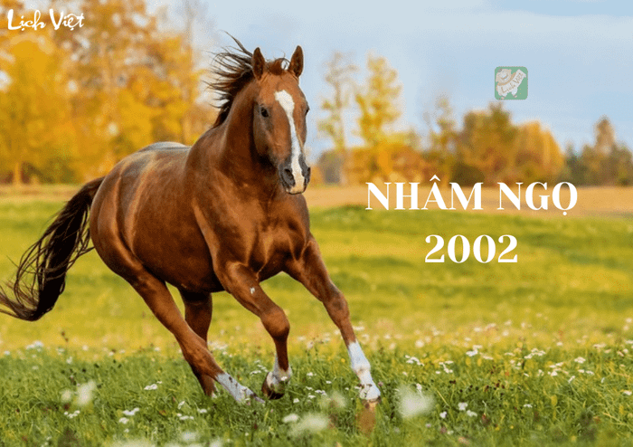 Tử vi tuổi Nhâm Ngọ (2002) năm 2024