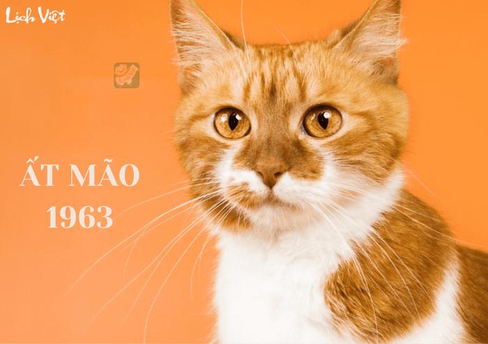 Dự báo tử vi cho tuổi Ất Mão (1975) trong năm 2024