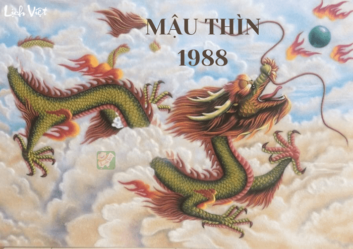 Tử vi năm 2024 cho nam mạng thuộc cung Mậu Thìn (1988)