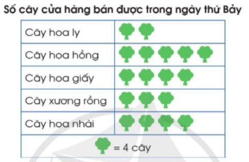 Toán 4 Cánh diều