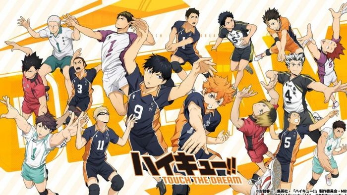 Hướng Dẫn Xem Haikyuu!! Toàn Diện - Dễ Dàng Xem Lại Ảnh Bìa Anime Haikyuu!!