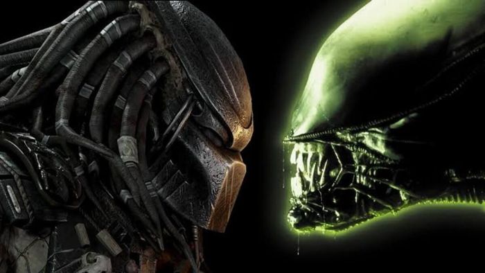 Aramaki Nói về Bìa của Bộ Anime Aliens vs. Predator: Annihilation Chưa Phát Hành