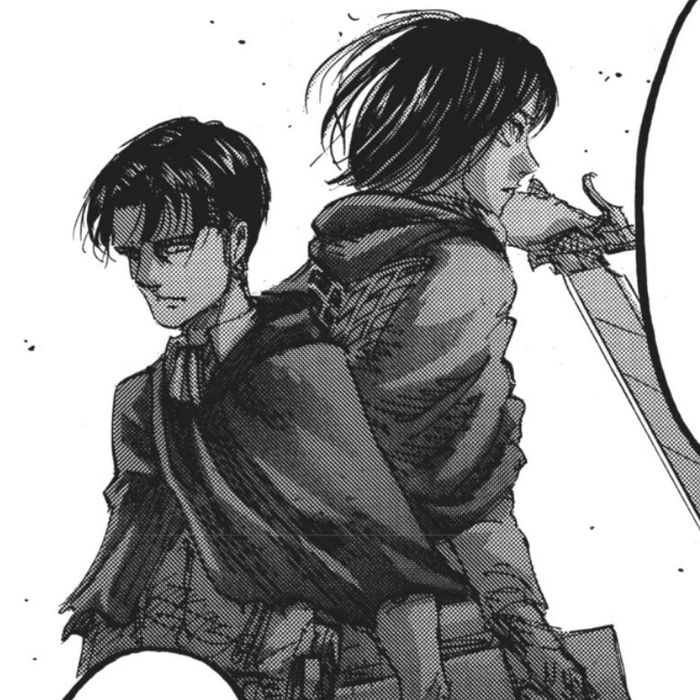 Levi và Mikasa