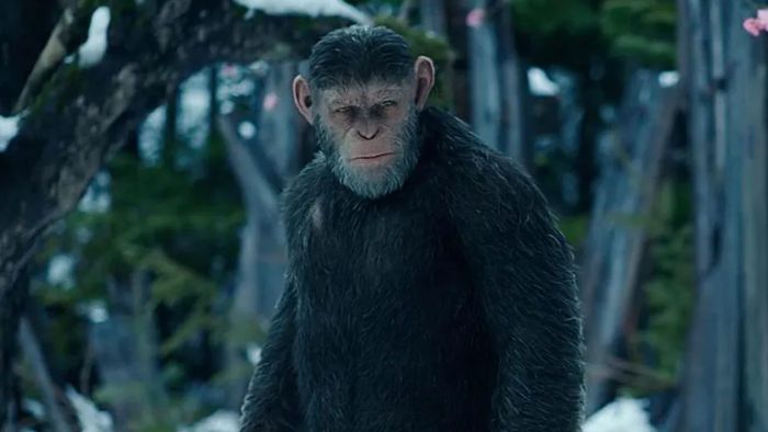 Vai Trò của Serkis trong Việc Làm Phim Tiếp theo của Hành Tinh Khỉ