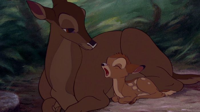 Bambi Phiên Bản Thực Sự của Disney Sẽ Không Gây Ra Nỗi Đau Trái Tim Như Phiên Bản Gốc